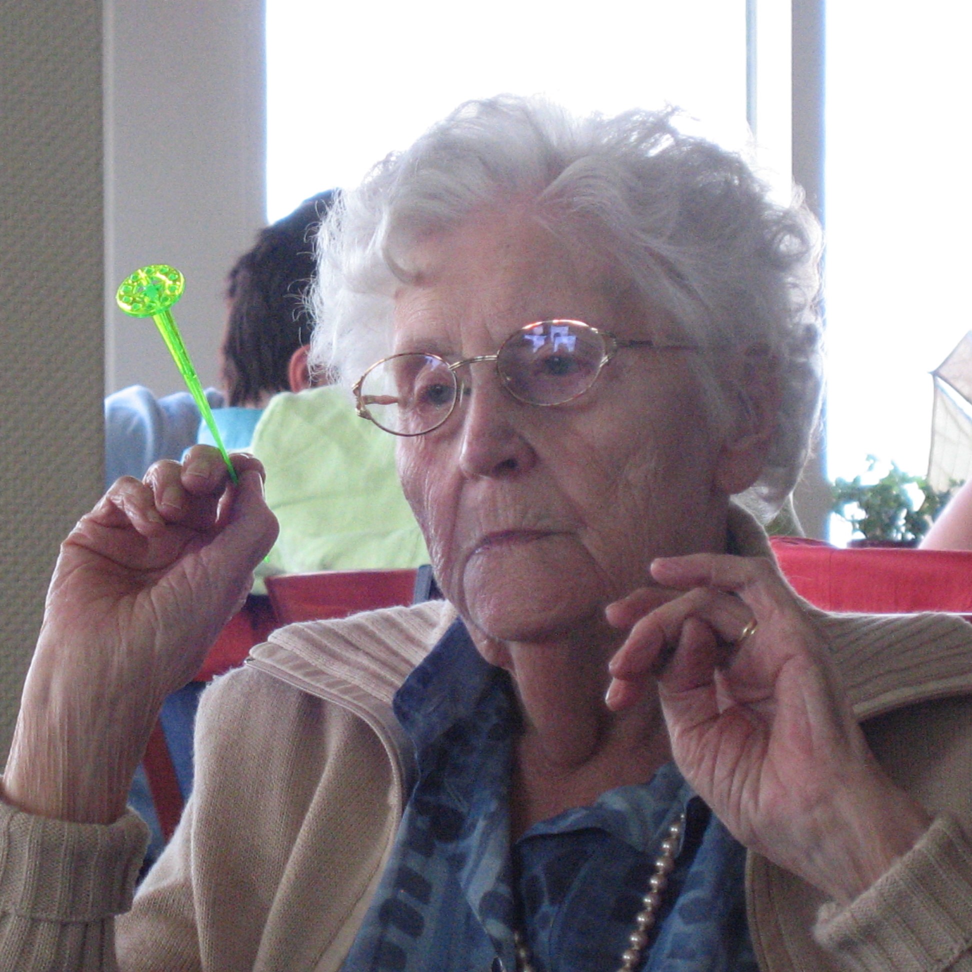 Reintje ter Schegget